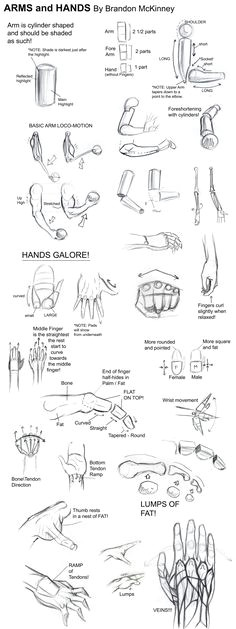 found some basic drawing tutorials and thought it would be nice to share with you guys