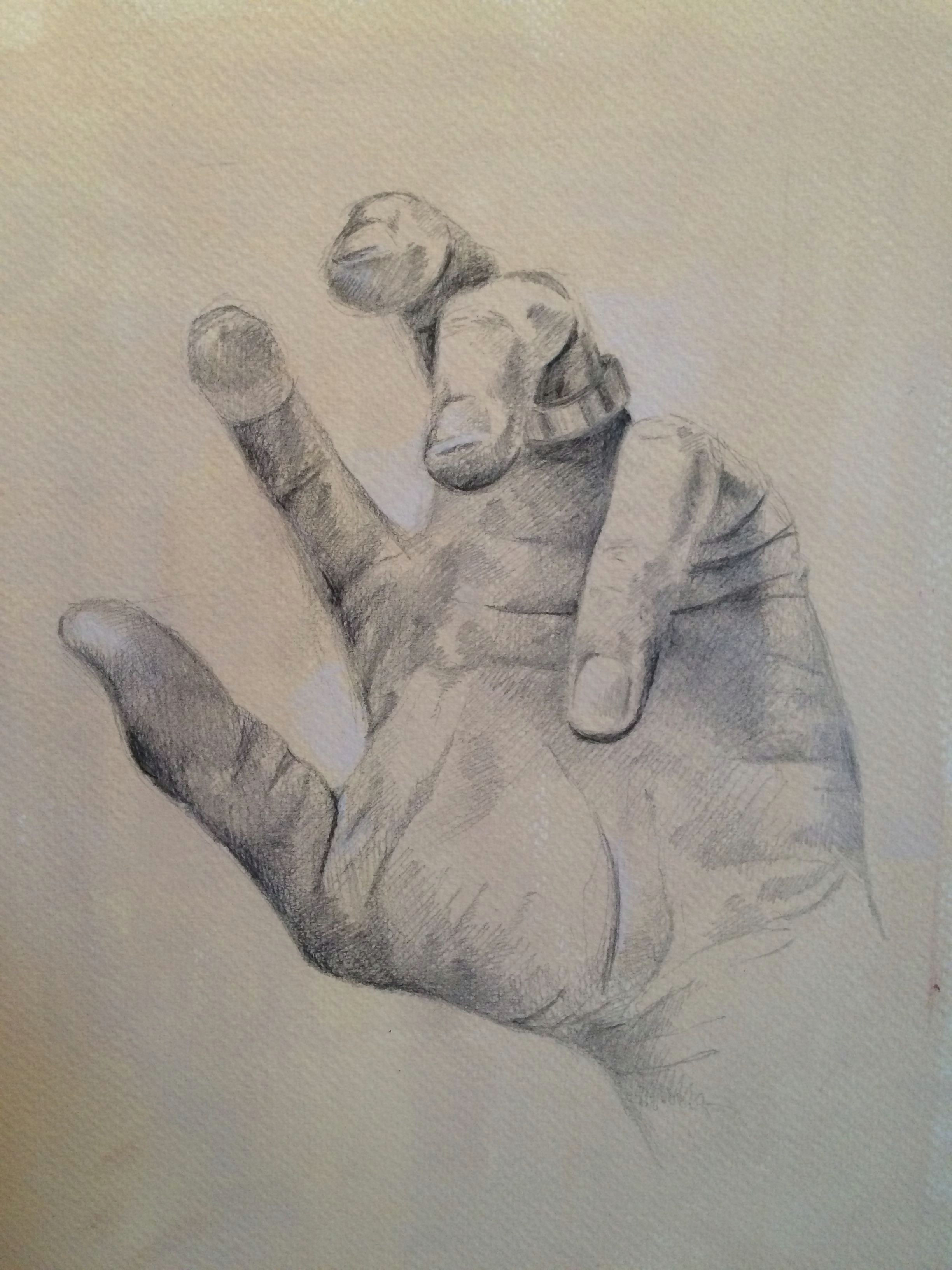 mark ashdown hand study silver point and chalk on tinted prepared paper