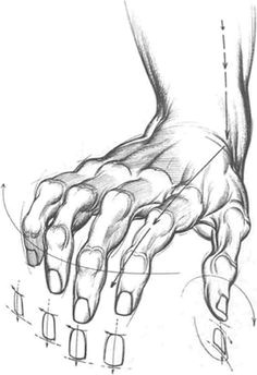 today s drawing class how to draw hands hands look complicated to draw but