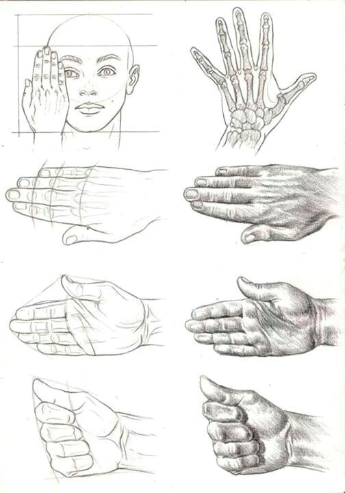 learning to draw the hand