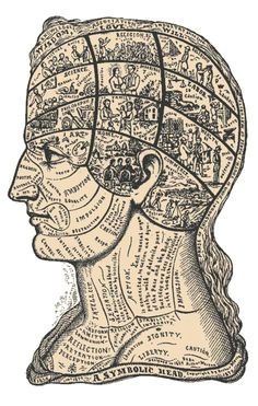 arthur merton a symbolic head 1879 from descriptive mentality from the head face and hand by holmes merton