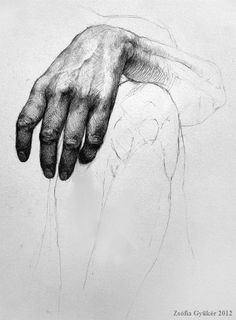 hand study 001 zsofia gyuker via tumblr en we heart it pencil art