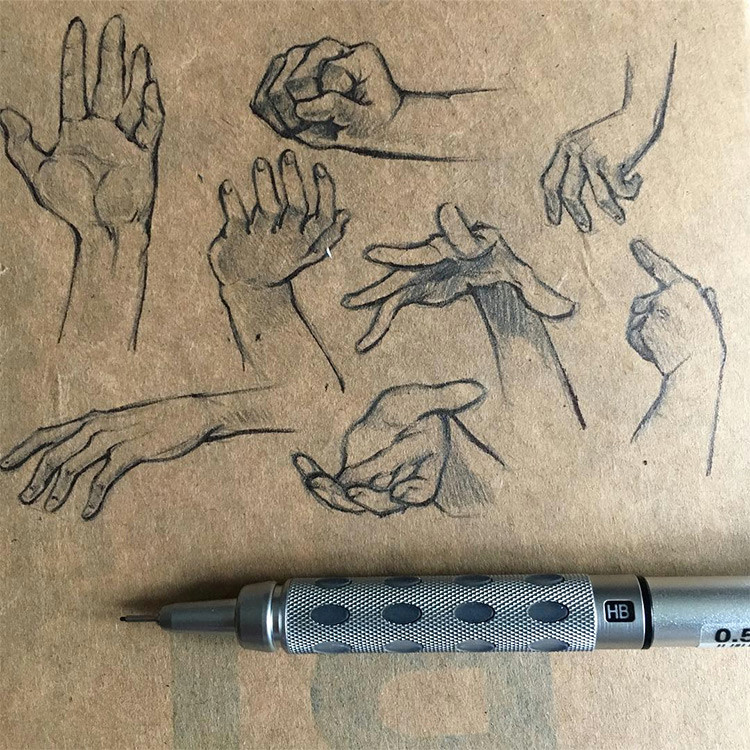 toned paper hand sketches