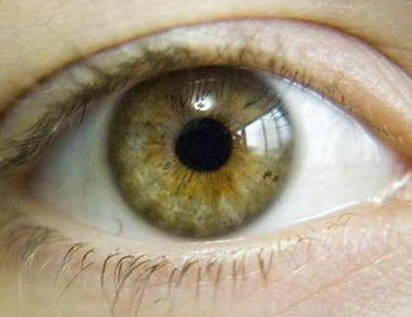 green eye color chart eyes may indicate a strong and independent person hazel eyes