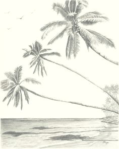 hawaii paradise three palm tree beach pencil drawing print