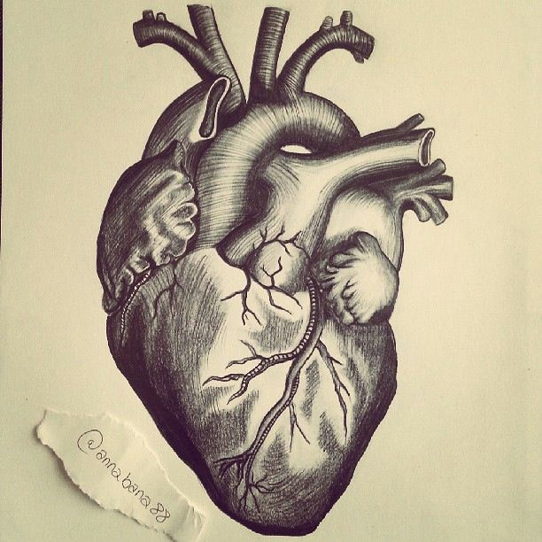 y medical illustration illustration artists brain tattoo anatomy sketches heart tattoo designs