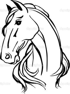 isolated vector drawing of horse head stock illustration