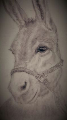 cute donkey a donkey donkey drawing cow art horse art burritos