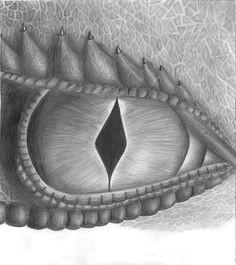 dragon eye drawing value drawing 8th grade art colorful drawings mythical creatures art plastique art projects wood burning arts