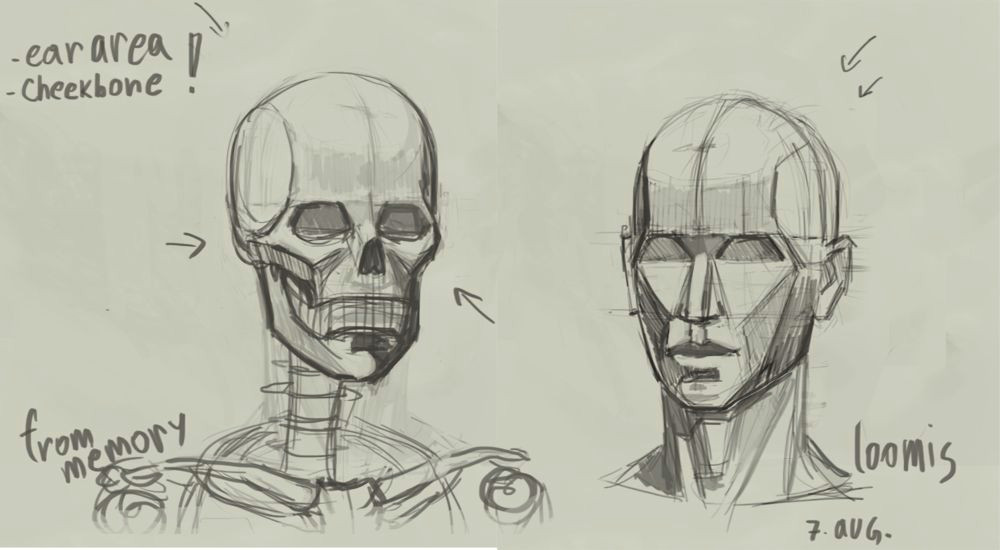 skull and head turnaround google search fountain pen drawing human head anatomy