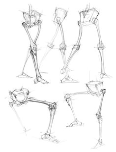 figuredrawing info news skeletal studies human anatomy art anatomy drawing anatomy for