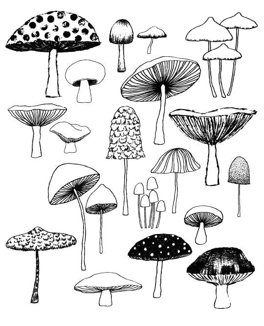 mushroom illustrations make me very happy