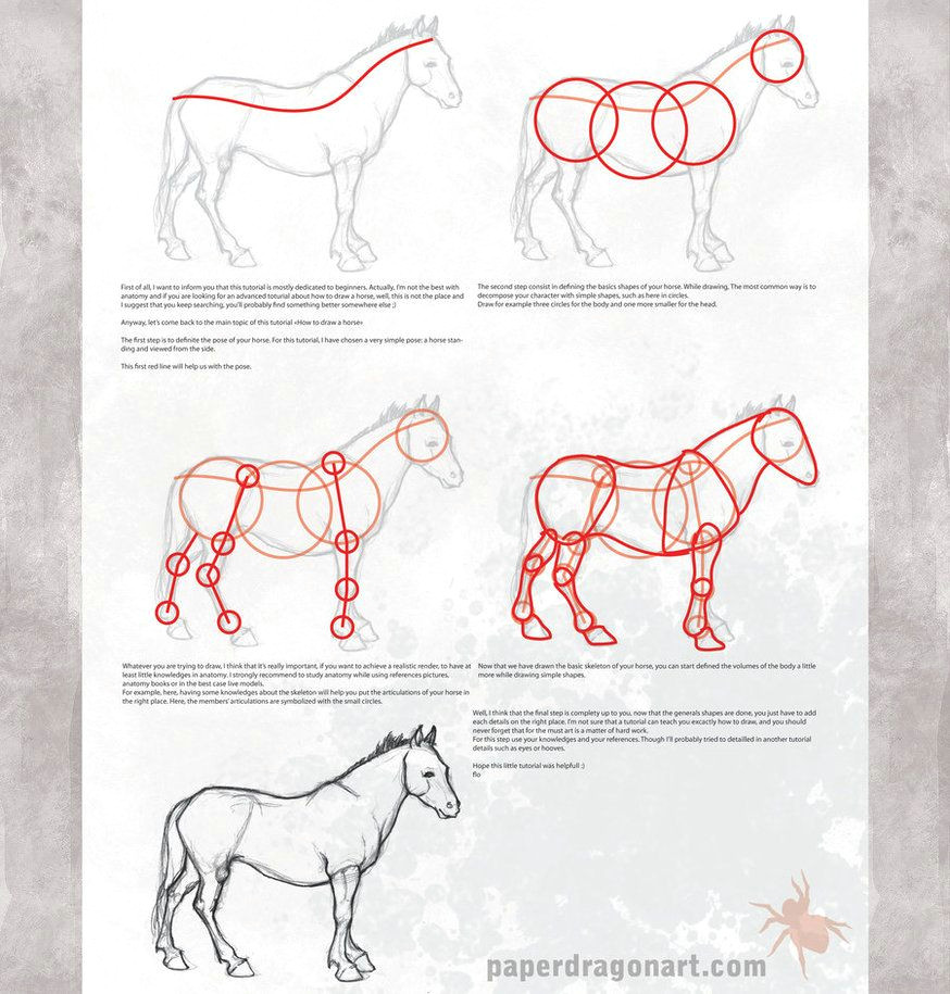 how to draw horse
