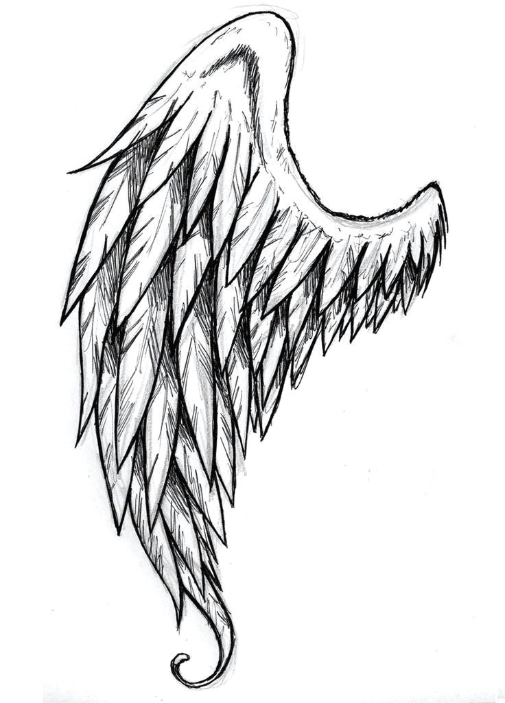 how to draw angels how to draw wings how to draw feathers tatoo