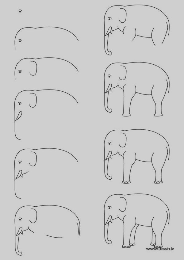 drawing animals step by step children coloring pages printable square1art ideas drawings animal drawings easy drawings