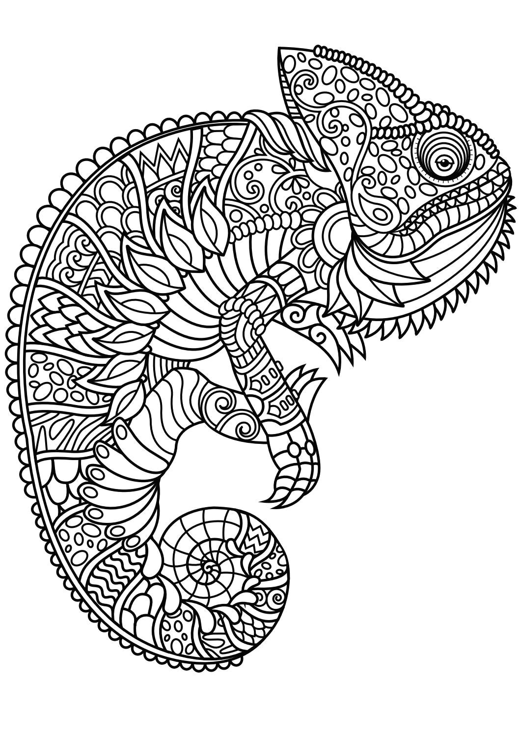 animal coloring pages pdf animal coloring pages is a free adult coloring book with 20 different animal pictures to color horse coloring pages dog cat