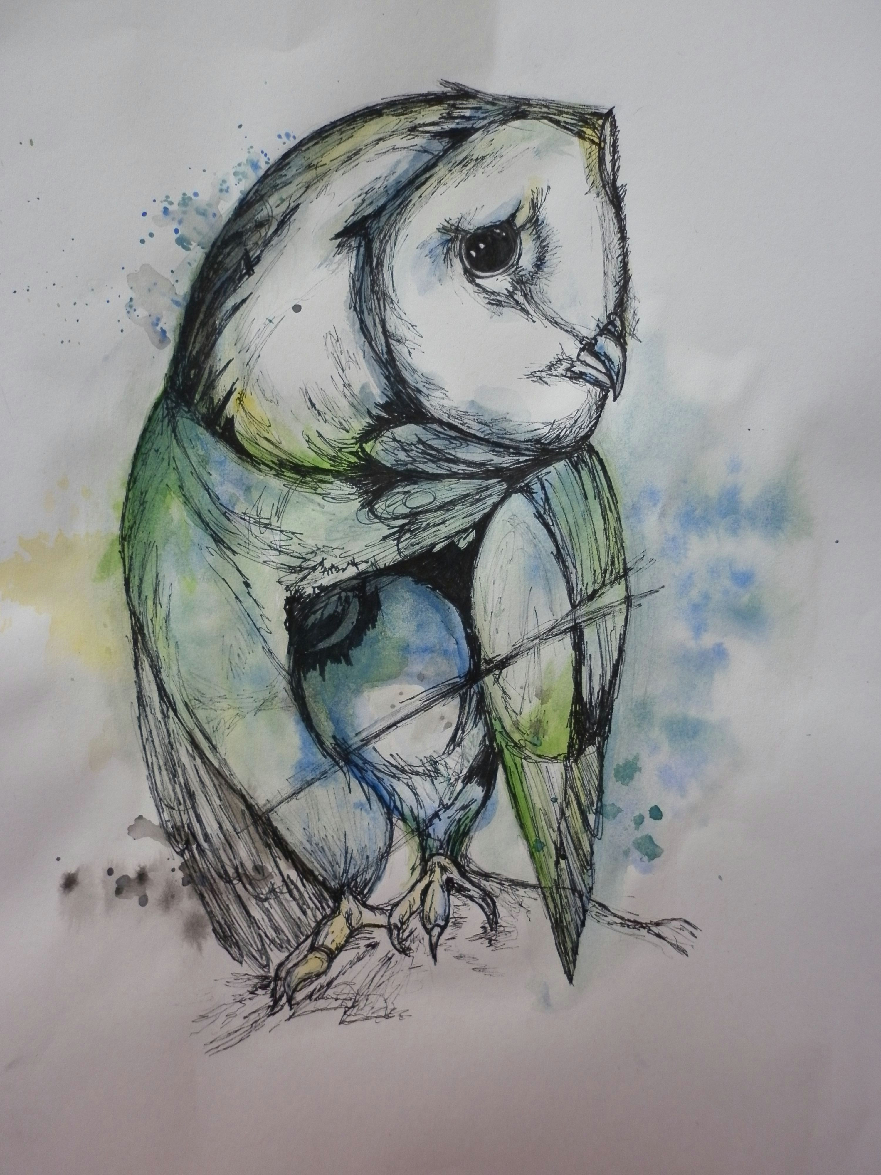 drawing of an owl working from abby diamonds work using watercolour and fine liner by chloe woolacott