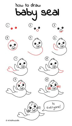 drawing seal how to draw seal how to draw baby seal how to draw ocean animals