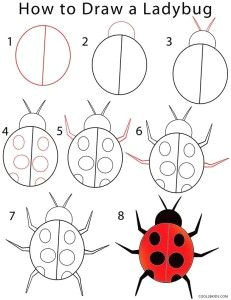 kids how to draw a ladybug step by step use chalk markers withour chalk mess easy