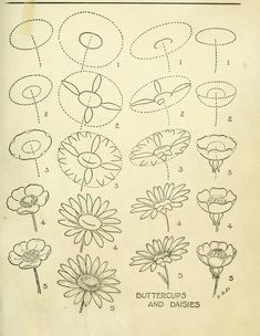 flower painting inspiration today s drawing class featuring lessons from the 1921 vintage book drawing made easy a helpful book for young artists by e