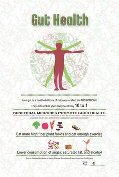 the gut health poster explains the emerging research about our body s microbiome the microbiota and