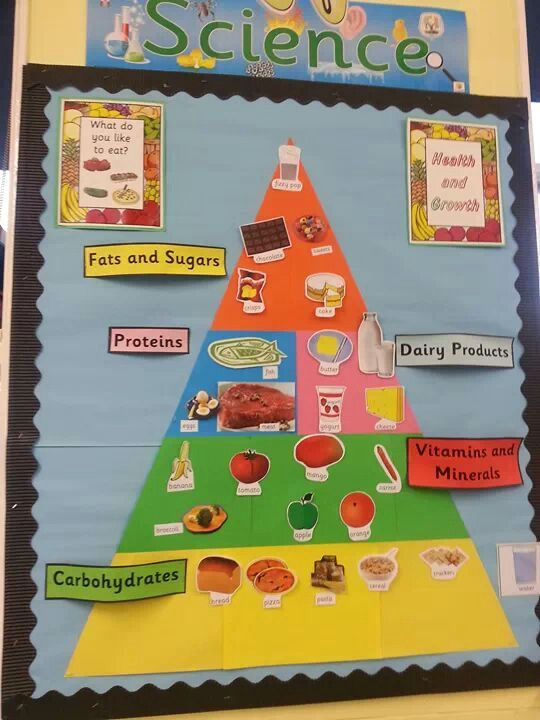 children draw pictures of food and add to the food pyramid as the topic progresses