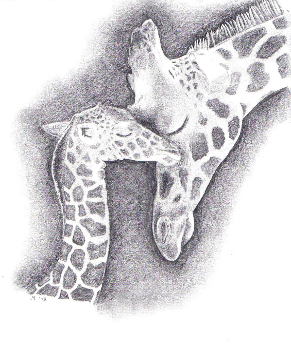 giraffe drawing