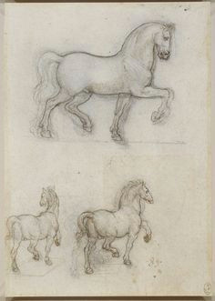 leonardo da vinci vinci recto studies for an equestrian monument verso studies for an equestrian monument sandra bielinski a drawing ideas