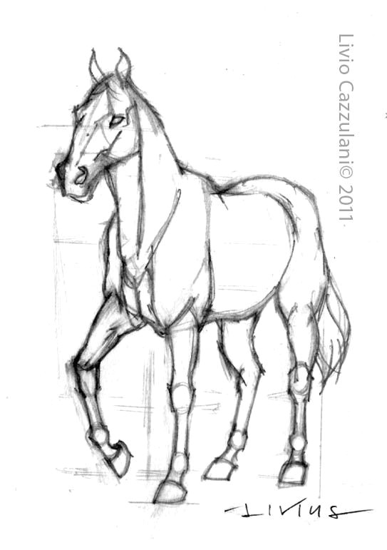 horse drawing google search
