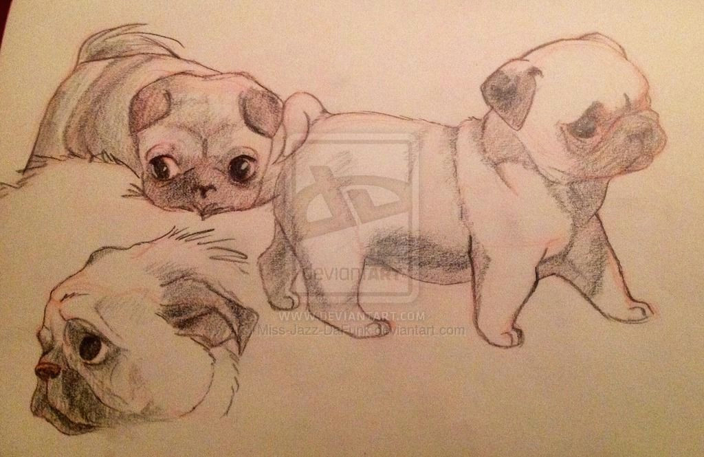 pugsies by miss jazz dafunk deviantart com on deviantart drawing ideasjazz traditionaldeviantart