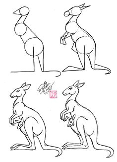 draw a kangaroo 5