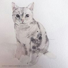 watercolor animals watercolor art drawing lessons drawing ideas cat art cobalt