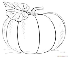 how to draw a pumpkin step by step drawing tutorials halloween drawings fall drawings