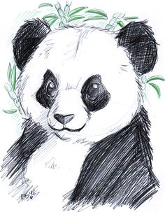 panda cute panda drawing panda sketch animal drawings pencil drawings art drawings