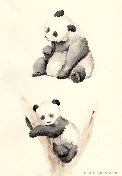 pandas by marmaladecookie on deviantart
