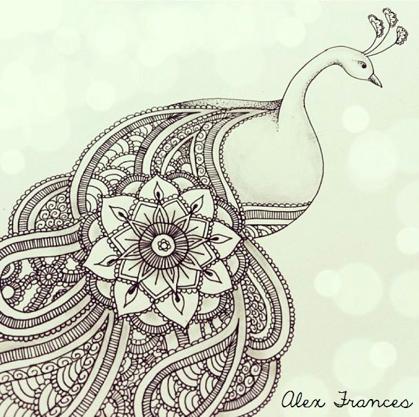paisley peacock illustration by alexandra frances instagram alex drawing mandala tattoo design