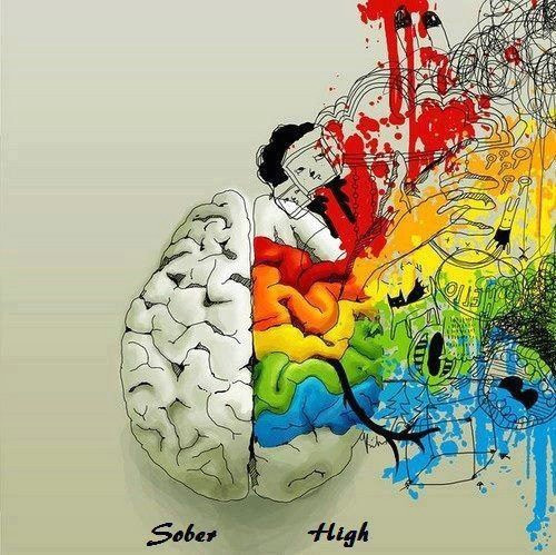 which side of your brain is more dominant lol in real life my brain is actually right good job quiz people