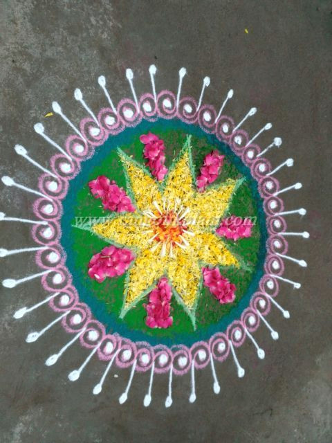 make these colorful rangoli free hand design for diwali creative simple pattern in my style of kolam