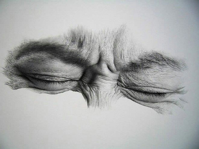 30 realistic pencil drawings and drawing ideas tips for beginners