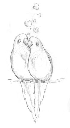 image result for drawing ideas for beginners cute drawings drawings of birds pencil drawings