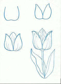 a how to draw wild flowers step by stepa c a c ae a cµ ae