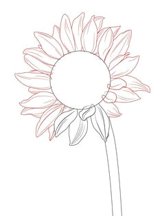 how to draw a sunflower