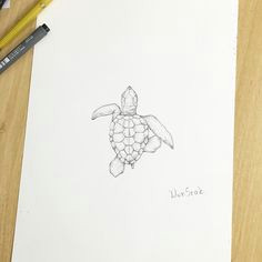 i i i i i i i on instagram a turtle a e e i a a d a illust tattoo design wonseok tattooist turtle tattoos drawing pen illusttattoo