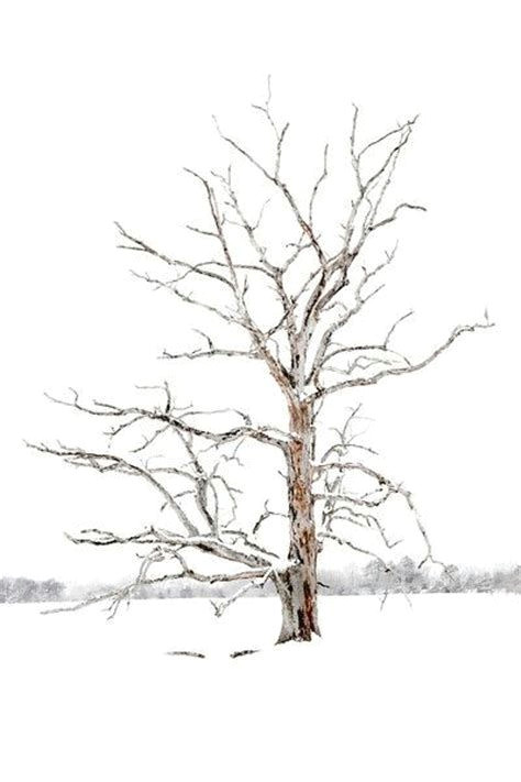 image result for winter watercolor tree