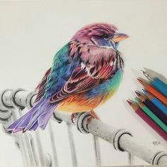 50 beautiful color pencil drawings from top artists around the world