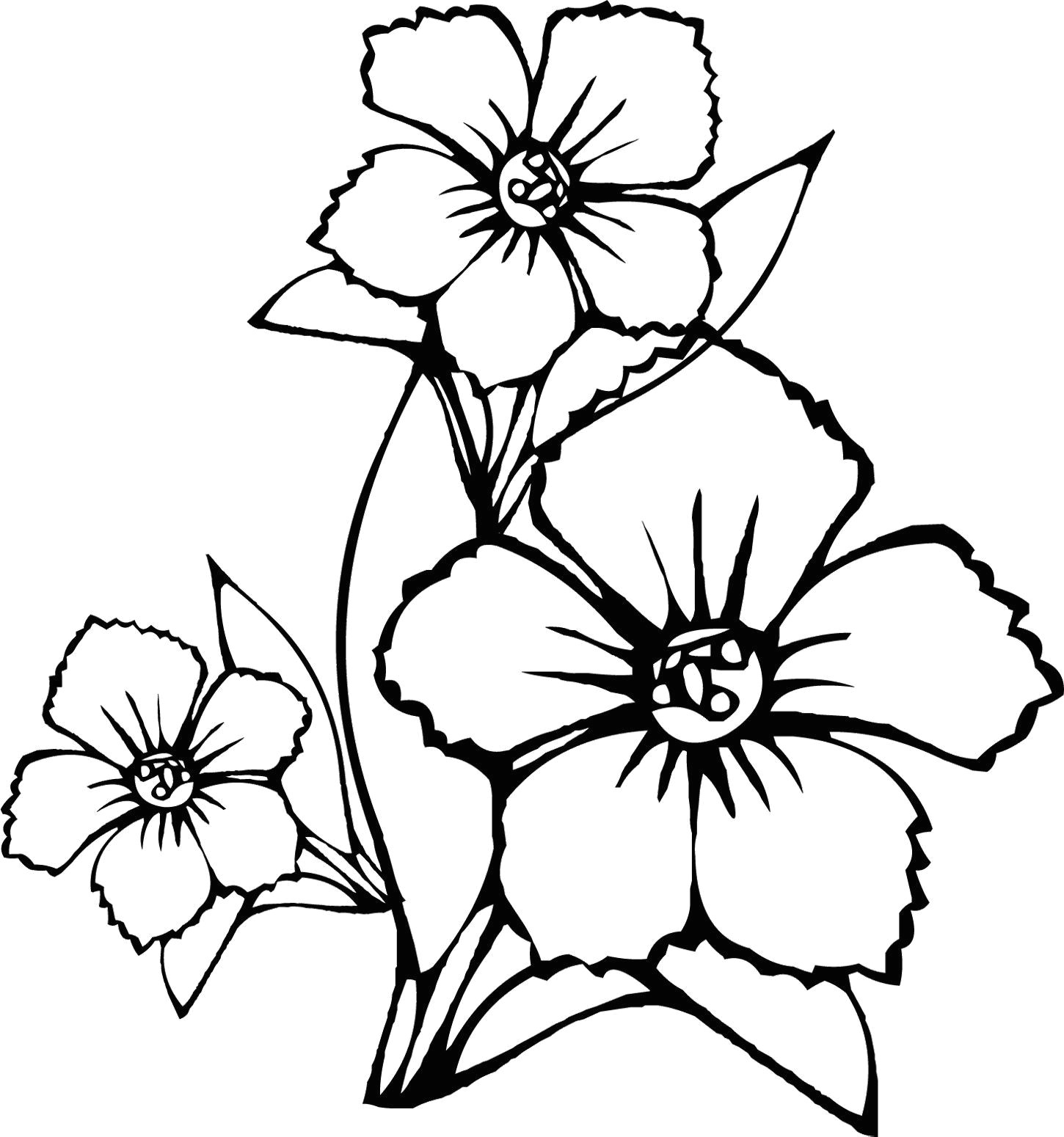 how to draw flowers step by step for beginners luxury new vases flower vase coloring page