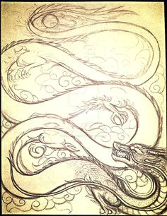 chinese dragon sketch
