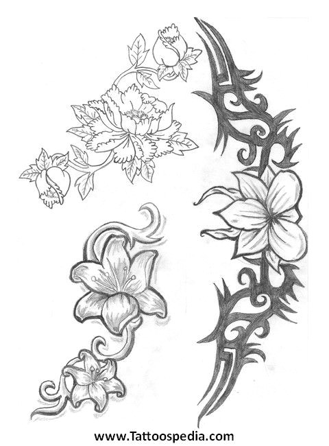 jasmine flower drawing flower tattoos jasmine 2