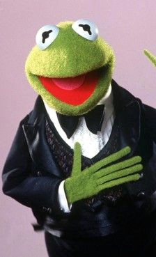 kermit the frog he s a person right kermit and miss piggy kermit