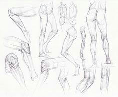 figuredrawing info news knee leg studies anatomy art leg anatomy human anatomy